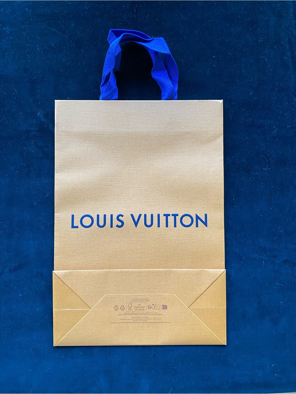 Louis Vuitton gift bag